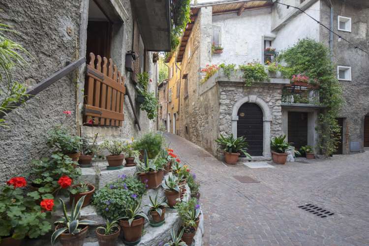 Tremosine